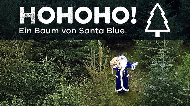 Santa Blue steht inmitten eines Tannenwalds und trägt einen Weihnachtsbaum – Symbolbild für die große Nachfrage bei der Weihnachtsbaumaktion der Stadtwerke Schwerte.