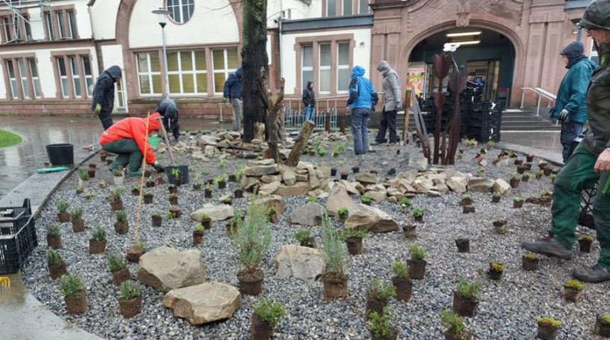 Auf dem Bild sind Mitglieder der ehrenamtlichen Bürgergruppe SCHWERTE PFLANZT zu sehen, wie sie die neuen Beete am Bahnhof Schwerte bepflanzen.