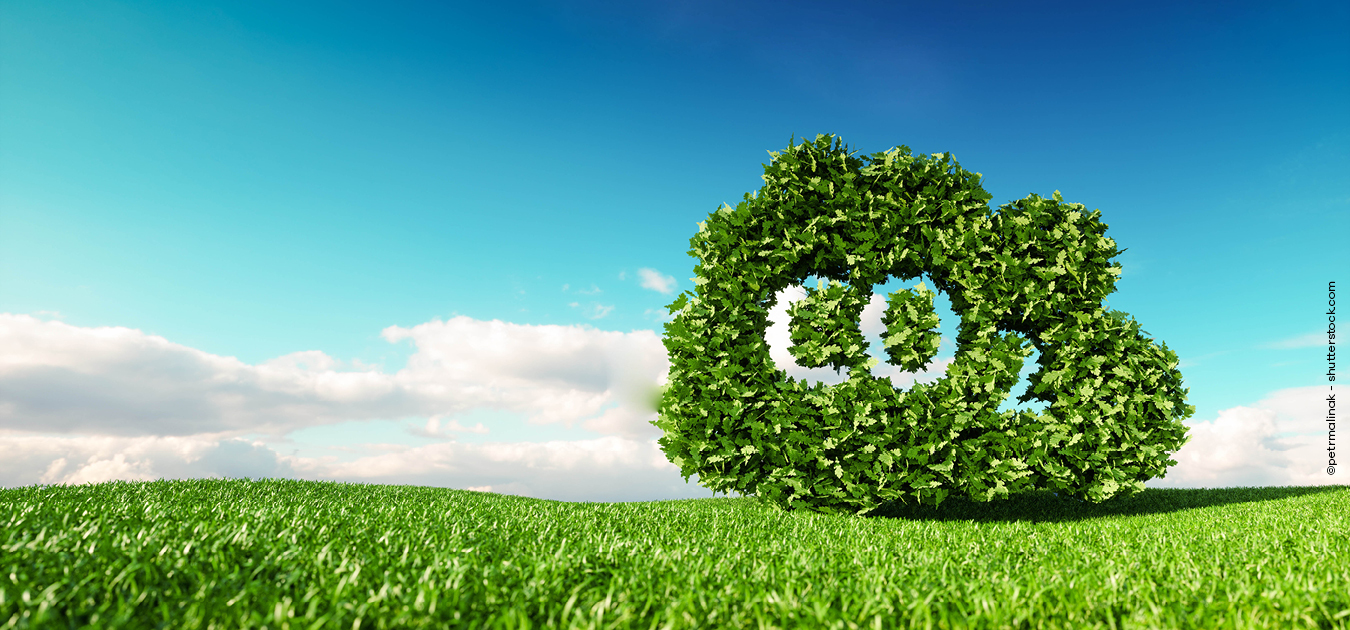 Auf einer grünen Wiese ist eine Wolke aus Blättern geformt, man kann darin CO2 lesen, was auf Treibhausgasemissionen hinweisen soll.